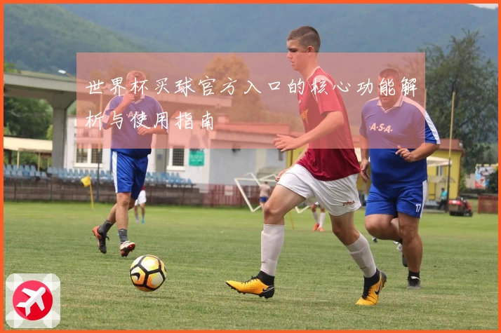 世界杯买球官方入口的核心功能解析与使用指南