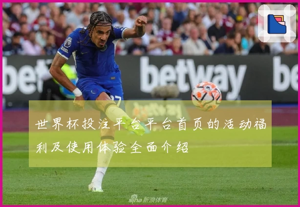 世界杯投注平台平台首页的活动福利及使用体验全面介绍