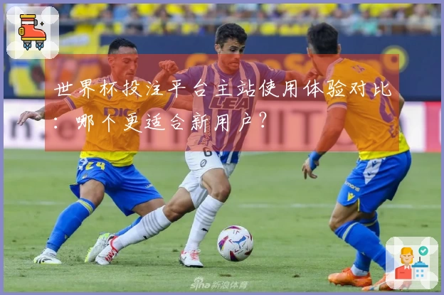世界杯投注平台主站使用体验对比：哪个更适合新用户？