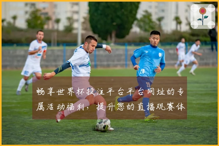 畅享世界杯投注平台平台网址的专属活动福利,提升您的直播观赛体验!