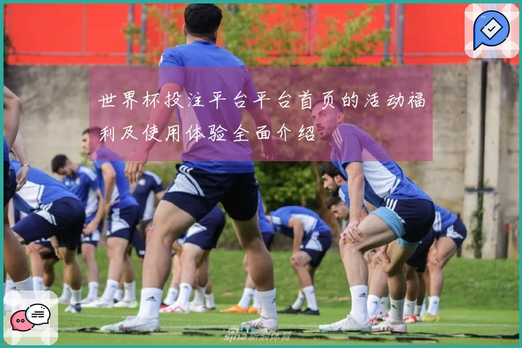 世界杯投注平台平台首页的活动福利及使用体验全面介绍