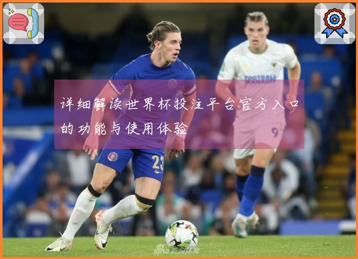 详细解读世界杯投注平台官方入口的功能与使用体验