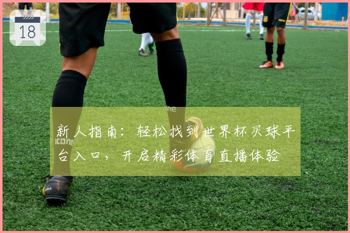 新人指南：轻松找到世界杯买球平台入口，开启精彩体育直播体验