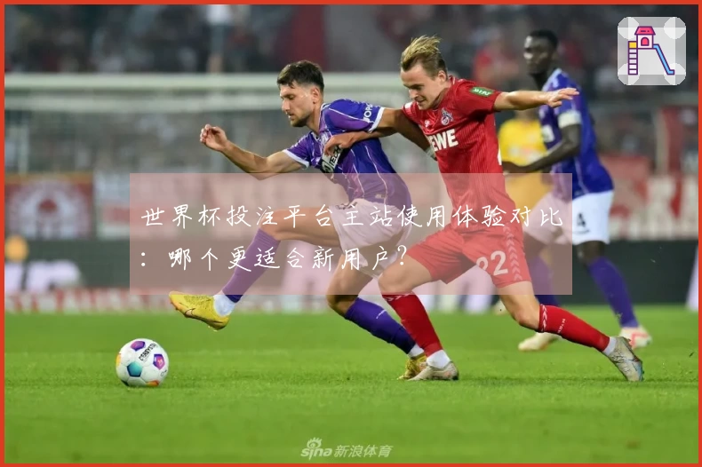 世界杯投注平台主站使用体验对比：哪个更适合新用户？