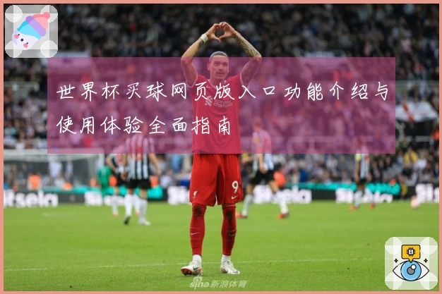 世界杯买球网页版入口功能介绍与使用体验全面指南