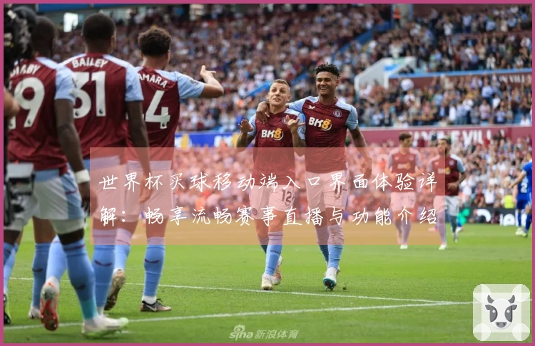 世界杯买球移动端入口界面体验详解：畅享流畅赛事直播与功能介绍